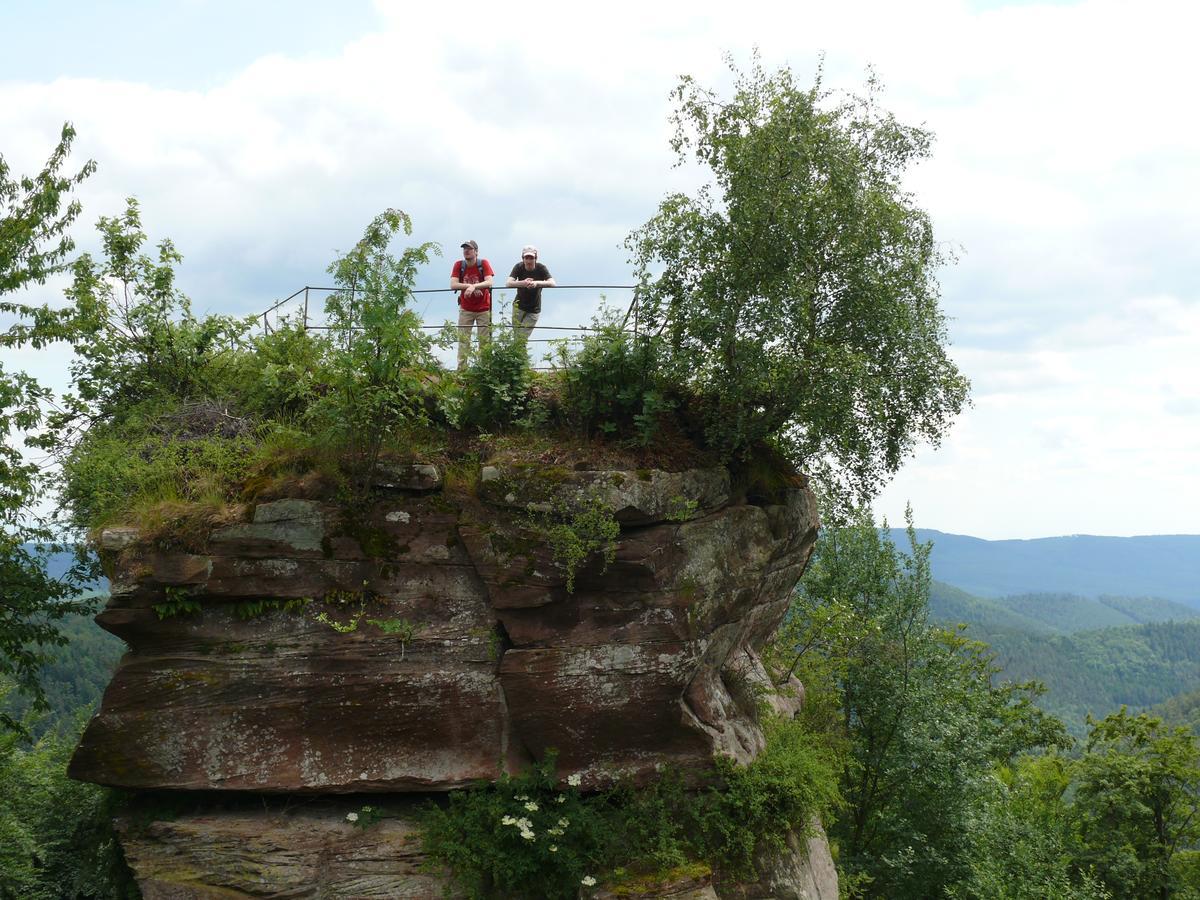 Blick Zum Maimont Hotel Ludwigswinkel Eksteriør billede