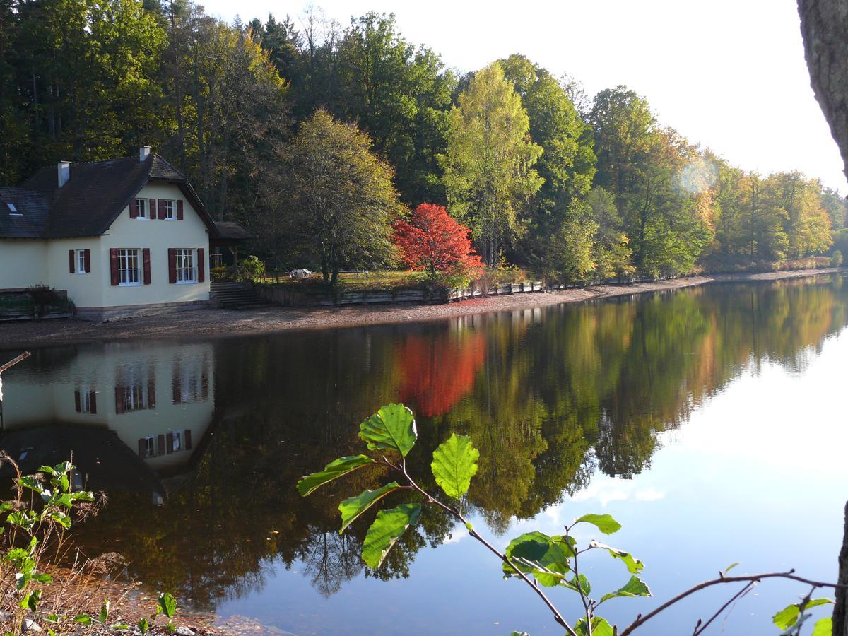 Blick Zum Maimont Hotel Ludwigswinkel Eksteriør billede