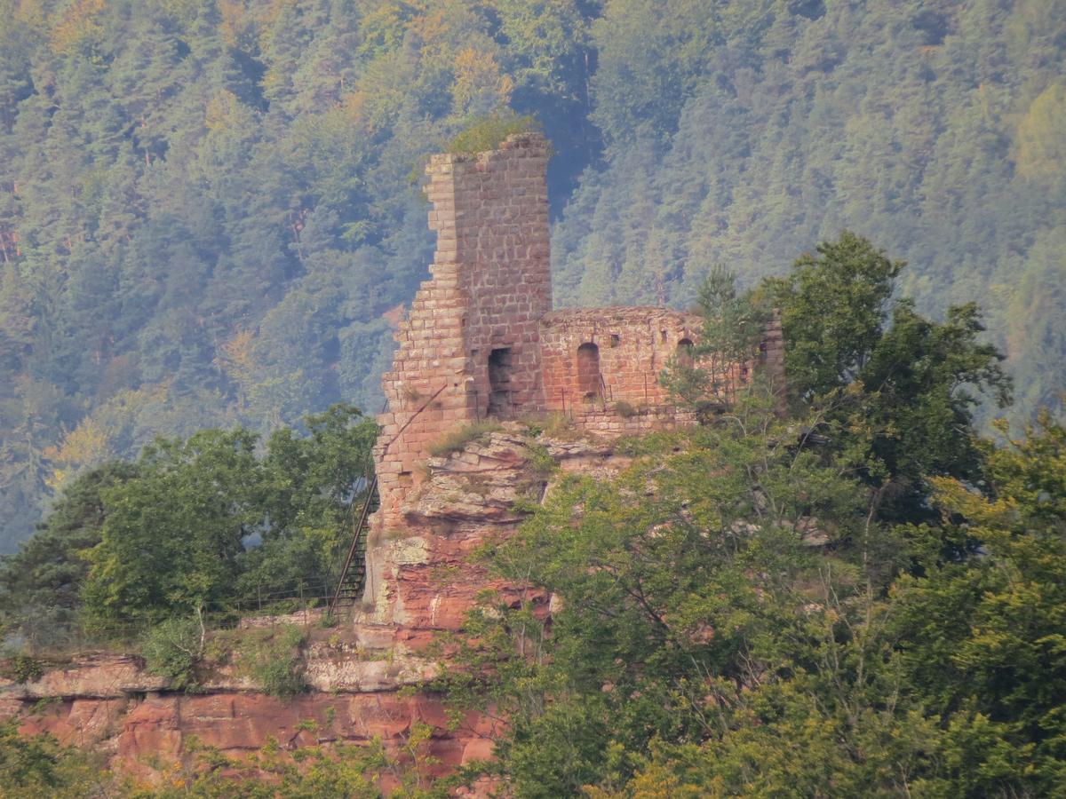 Blick Zum Maimont Hotel Ludwigswinkel Eksteriør billede